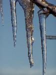 icicles