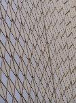 roof tiles Sydney Opera House
